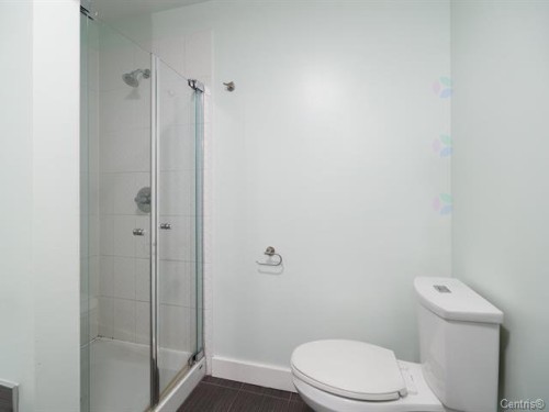 Salle de bains - 103-7369 Rue St-André, Montréal (Villeray/Saint-Michel/Parc-Extension), QC 