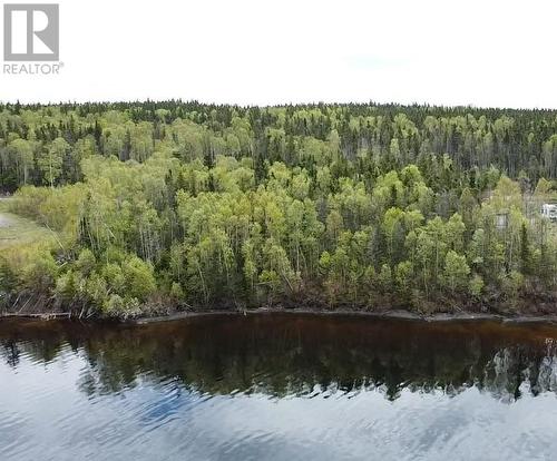 9 Little Paradise Lake Road, Beothuk Lake, NL 
