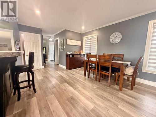 4 Noels Place, Springdale, NL 