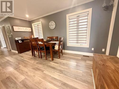 4 Noels Place, Springdale, NL 