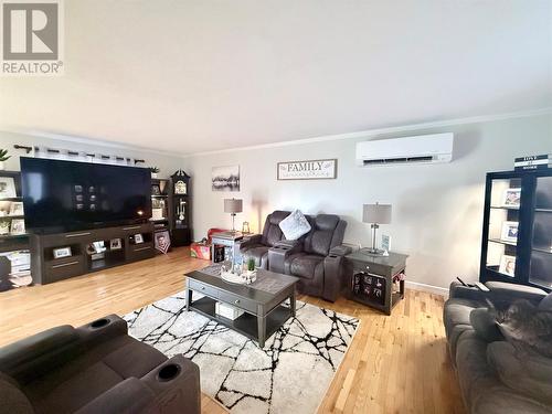 4 Noels Place, Springdale, NL 