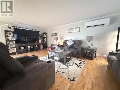 4 Noels Place, Springdale, NL 