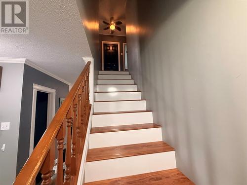 4 Noels Place, Springdale, NL 