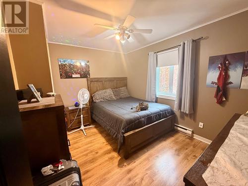 4 Noels Place, Springdale, NL 