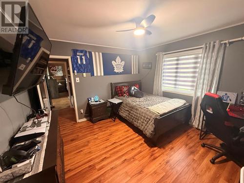 4 Noels Place, Springdale, NL 