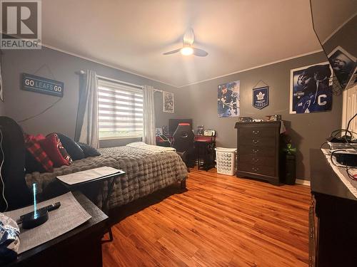 4 Noels Place, Springdale, NL 