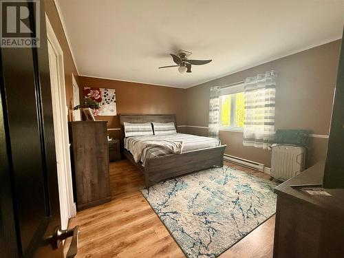 4 Noels Place, Springdale, NL 