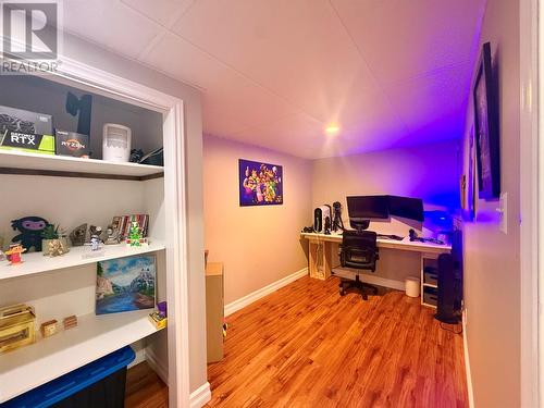 4 Noels Place, Springdale, NL 