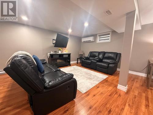 4 Noels Place, Springdale, NL 
