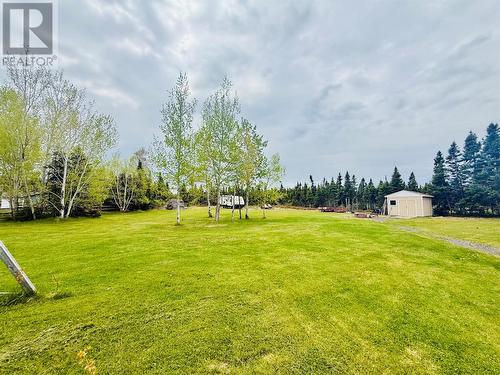 4 Noels Place, Springdale, NL 