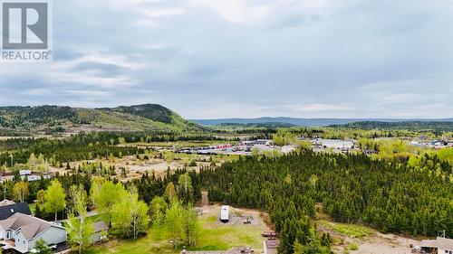 4 Noels Place, Springdale, NL 