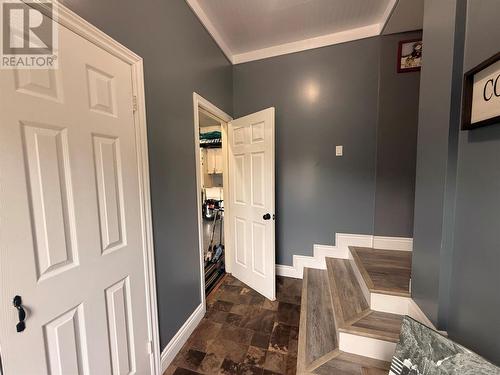 4 Noels Place, Springdale, NL 