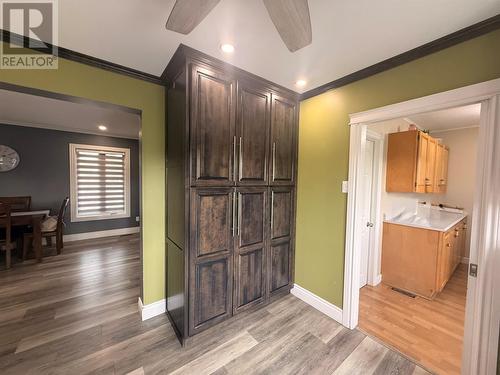 4 Noels Place, Springdale, NL 