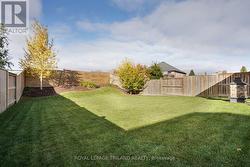 Backyard: Lots of Room - 