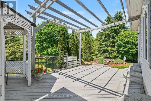 Deck - 17 Warnock Way, Ottawa, ON 