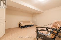 Lower level 2nd bedroom - 