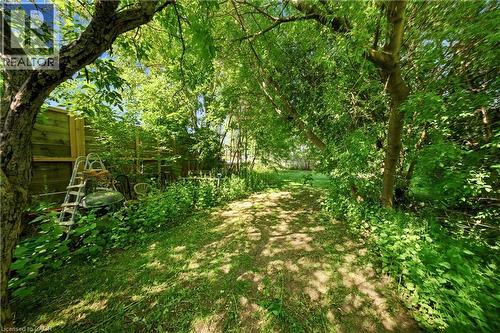 149 Birch Avenue, Kitchener, ON 