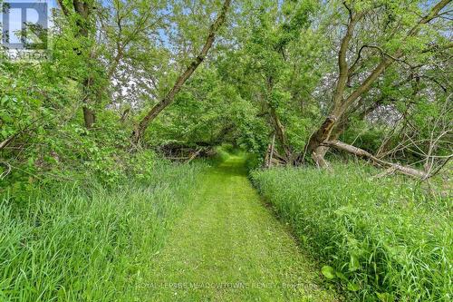 Trails - 954399 7Th Line Ehs, Mono, ON - Outdoor