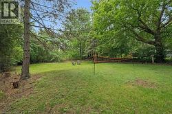 Expansive grassy yard surrounded by mature trees, featuring a natural slope and a clear blue sky - 