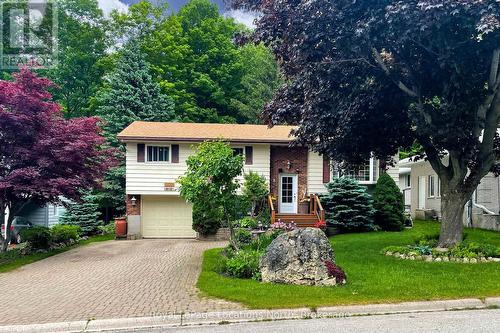 62 PARKLANE CRESCENT  Meaford, ON N4L 1B1