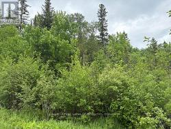 0 TATTERSAL ROAD Dysart Et Al (Dysart), ON K0M 1S0