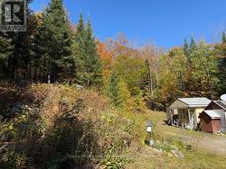 1118 STONEY ROAD  Ryerson, ON P0A 1C0