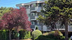 #412-1525 Hillside Ave Victoria, BC V8T 2C1