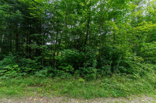 Terre/Terrain - 7 Imp. Ellora, Bolton-Est, QC 