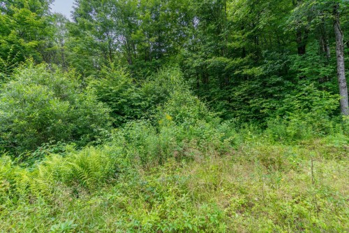 Terre/Terrain - 7 Imp. Ellora, Bolton-Est, QC 