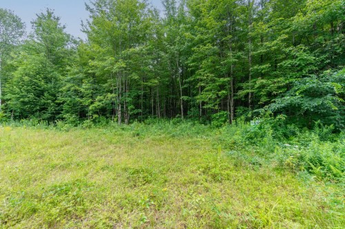 Terre/Terrain - 7 Imp. Ellora, Bolton-Est, QC 