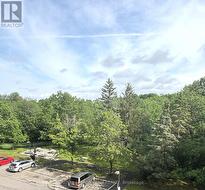 Park space including picnic table and BBQ - 