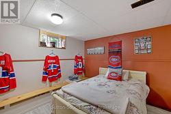 Lower Level Bedroom - 