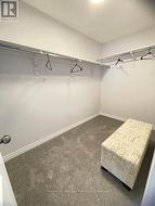 Model Home primary walk in clost - 