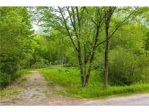 Lot Main St, Hampton, NB 