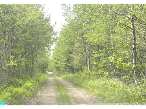 3860 Route 108, Upper Derby, NB 