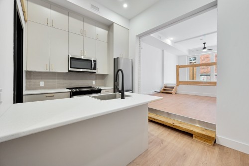 Vue d'ensemble - 1-3993A Rue Hochelaga, Montréal (Mercier/Hochelaga-Maisonneuve), QC 