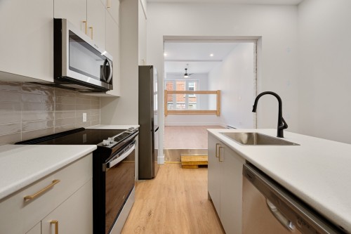 Vue d'ensemble - 1-3993A Rue Hochelaga, Montréal (Mercier/Hochelaga-Maisonneuve), QC 