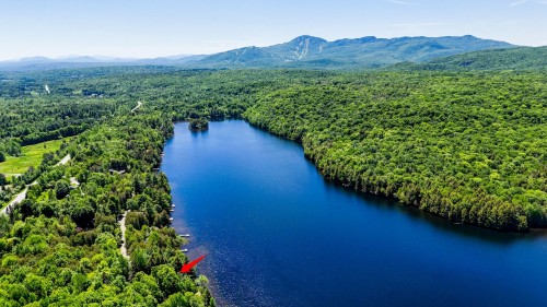 Vue d'ensemble - 69 Rue De L'Épervière, Orford, QC 