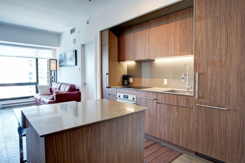Kitchen - 2616-1288 Av. Des Canadiens-De-Montréal, Montréal (Ville-Marie), QC 