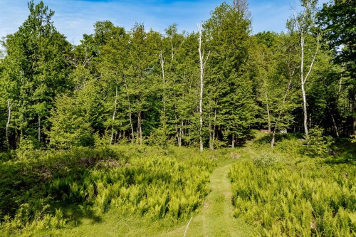 Terre/Terrain - Rue Des Hauts-Du-Lac, Ayer'S Cliff, QC 
