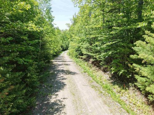 Lot 11 Christopher Road, Whiteburn Mines, NS 