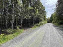 Lot 17 Bruhm Lane Middle New Cornwall, NS B0J 2E0