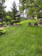 Owner photo depicting the gardens in bloom - 