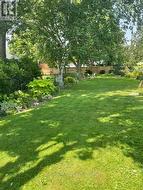 Owner photo depicting the gardens in bloom - 