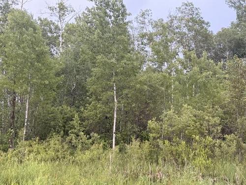 68 White Poplar Rd, La Broquerie, MB 