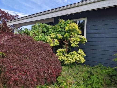 810 Shellbourne Blvd, Campbell River, BC 