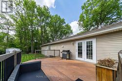 our oversized composite sundeck & fenced-in yard - 