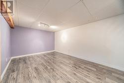 Lower level family room - 