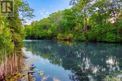 9 min walk to river for fishing, canoeing, nature! - 