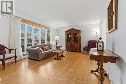 bright living room with hardwood floors - 61 San Pedro Drive, Hamilton, ON 